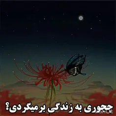 تو دوس داری به عنوان چی برگردی ؟