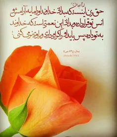 #سید_الساجدین #اعیاد_شعبانیه_مبارک #میلاد_سه_نور_مبارک  #