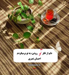 🍒🌱دلم از فکر تو روشن، به تو برمیگردم🍒🌱