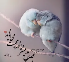 🌼 پیامبر مهربانی ها؛ حضرت محمد(صلی الله علیه و اله) :