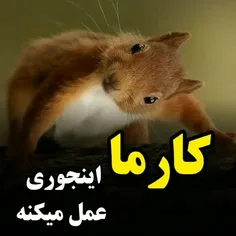 هرکاری که کنیم ، نتیجه‌اش به خودمون برمیگرده 💚