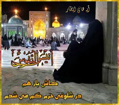 از این جا تا مشهد الرضا (ع) چقدر راه است ؟