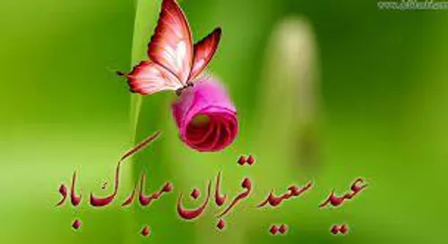 عید قربان