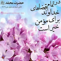 فقط خدا رو عشقه