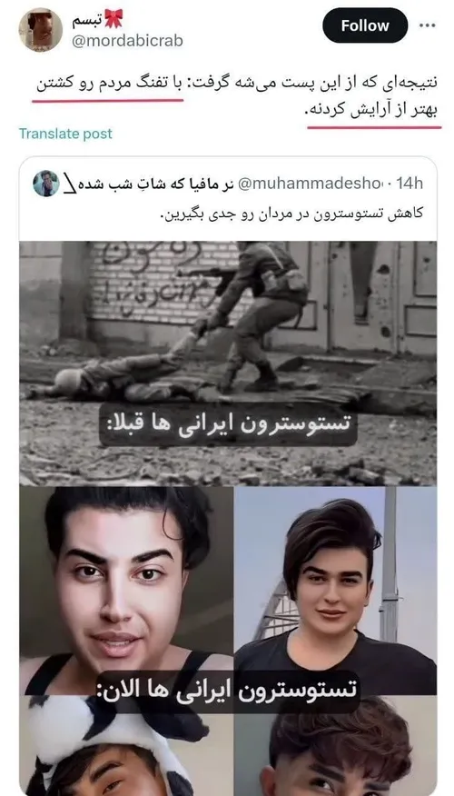 فمنیست ایرانی چنین موجودی هست