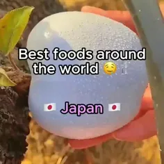 خوراکی های خوشمزه توی ژاپن