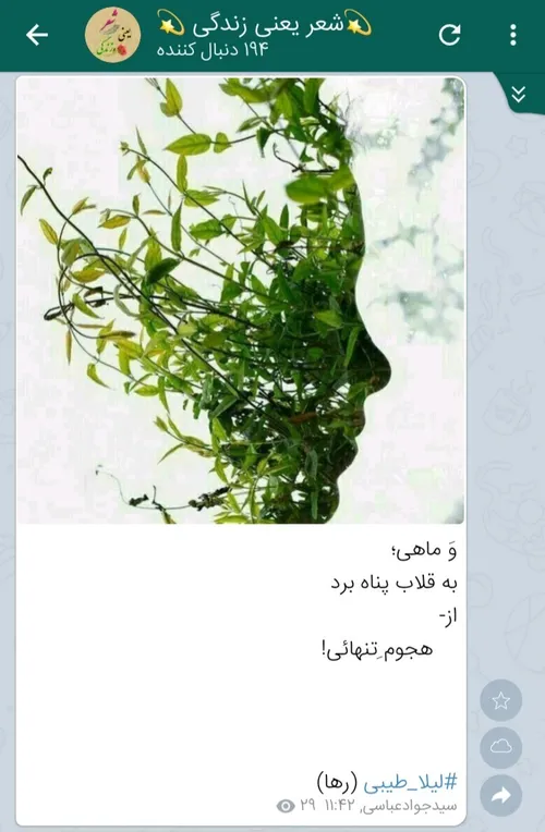 سعید فلاحی