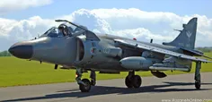 Sea Harrier FA2