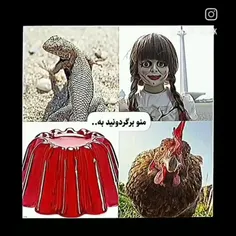 لولوصا ک نچراله عمل نکرده عمل اونو کرده😊😇