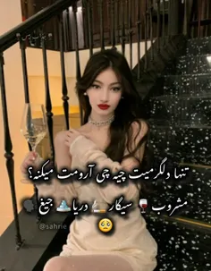 اینا آرومم میکنه🎵🍷🚬⛲🗣