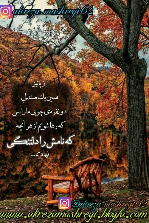 تا درخت بعدی