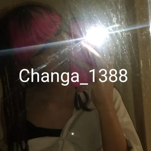  changa_1388 54346418 - عکس ویسگون