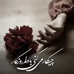 و بادیکروز