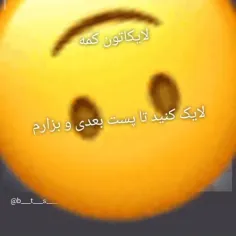 لایکاتون کم شده ها