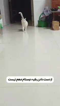 تو خیلی چیزا راجع به من می دونی🙃😁😅