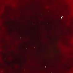 شهادت مظلومانه حضرت فاطمه زهرا سلام الله علیه تسلیت