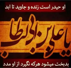 رقص شمشیر علی بس که تماشایی بود..