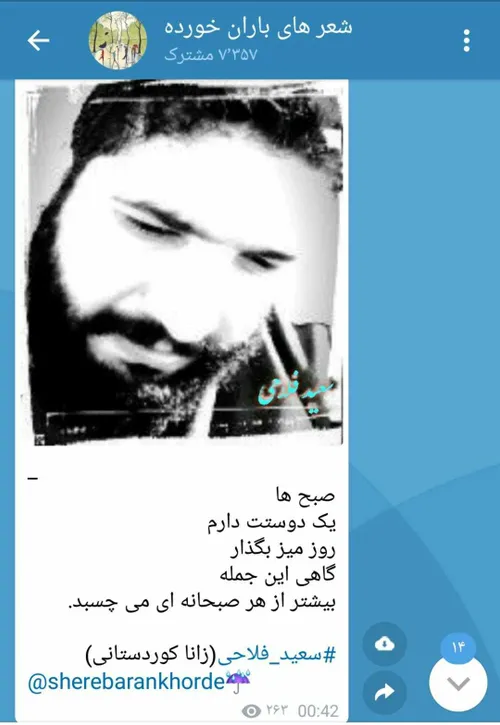 سعید فلاحی سعید فلاحی زانا کوردستانی زانا کوردستان لیلا ل