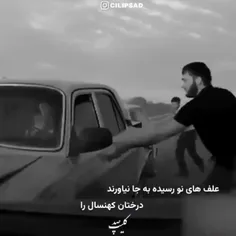 به سلامتی رفیق،☝️☝️