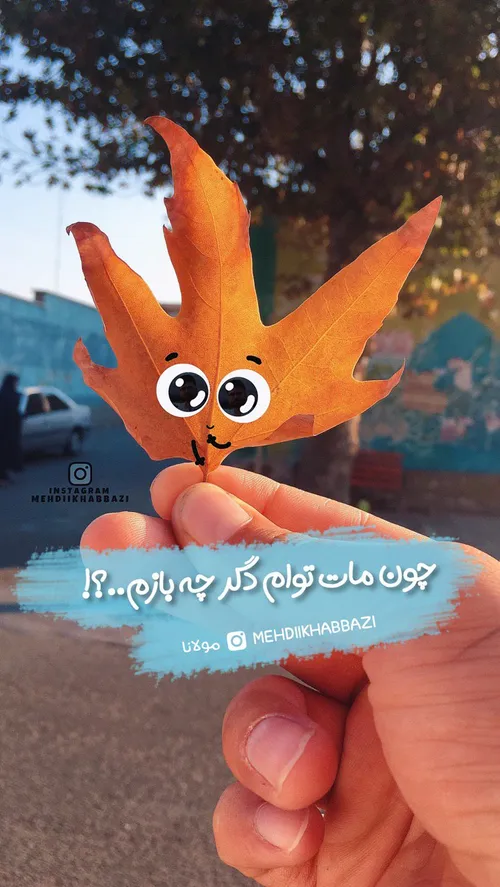 والپیپر تصاویر پس زمینه