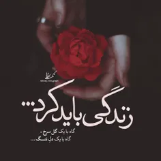 عکس نوشته sepidehzarei1378 28587106