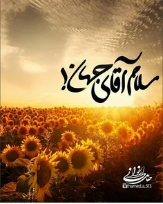 سلام آقای جهان