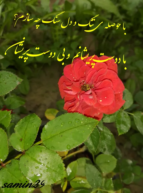 عکاسی خودم ثمین 29