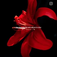 پام به فنا رفته 