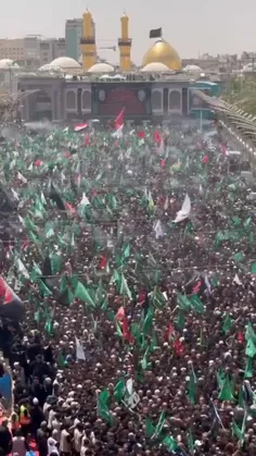 💚✨هرکه دارد هوس کرب و بلا 