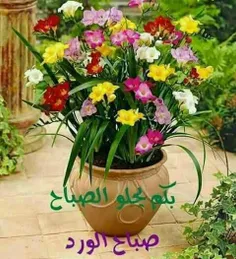 عکس نوشته ali999999 26573927