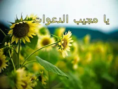 بسم ♥الله♥ الرحمن الرحیم....