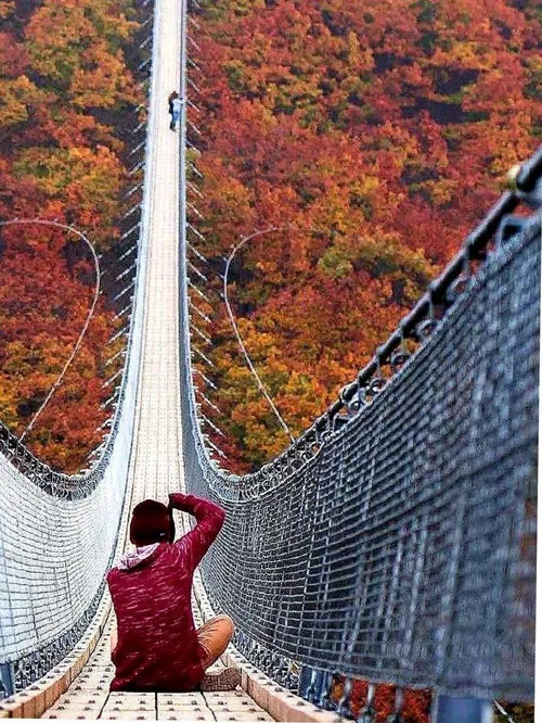 یکی از طولانی ترین پلهای معلق در جهان، پل "گییرلی" در مور