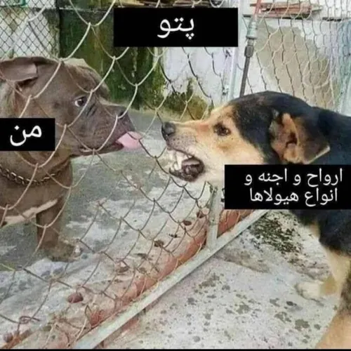 میم طنز🤣