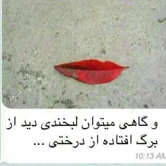 زیباترین پست سال!!!! متنی زیبا از پرفسور شمس الدینی استاد
