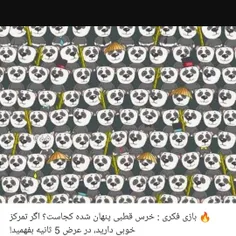 عکسشو برام بفرست اگه پیدا کردی