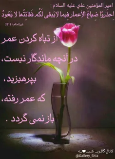 شعر و ادبیات s.mohammad.r.m 10282701