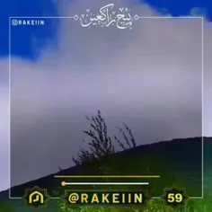 🎥سنگ و چوب وگیاه چه ذکری میگن؟!