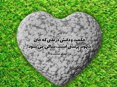 امام علی علیه السلام: