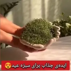 🪴سبزه‌ی عیدو اینجوری درست کن😍