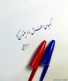 هر که گدای در مشکوی توست           پادشاست