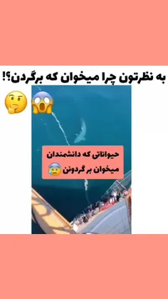 ترسناک 