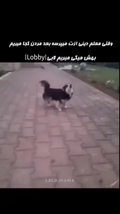 فق کالاف بازا و فری بازا میفهمن 😂😂😂