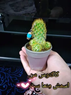 من خیلی دوستش دارم.🥰