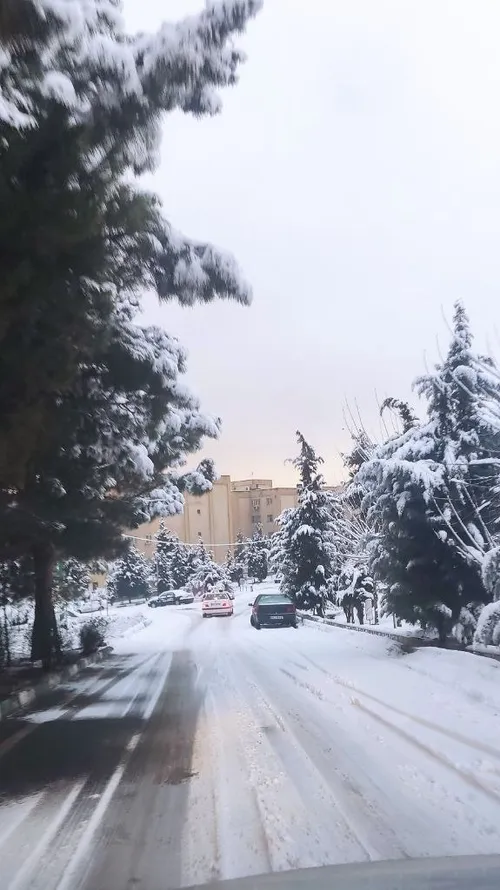 صبح برفی تهران