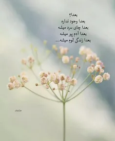 الہے...🌸🍃