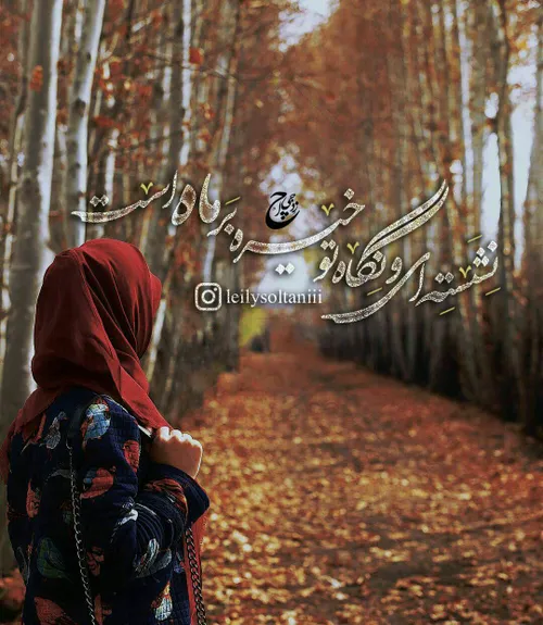 🌹 نـــ✒ ــون وَ الْــــقَــلَــم 🌹