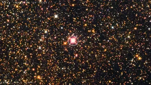 تصویری از 18-stephenson 2 بزرگترین ستاره شناخته شده