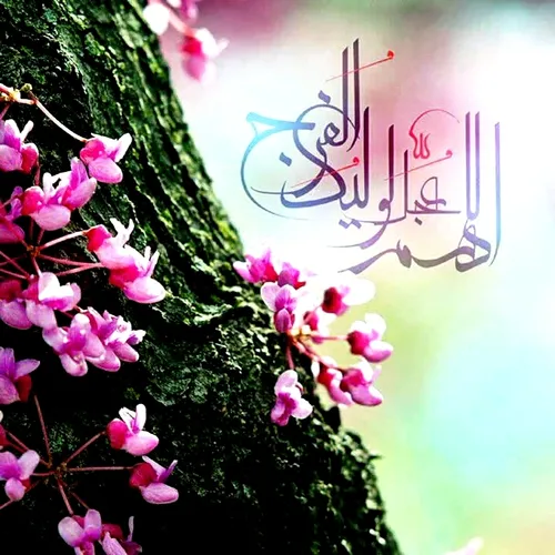 السلام علیک یا ابا صالح المهدي