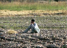 نوبهار عمر رفت و غنچه‌ی دل 