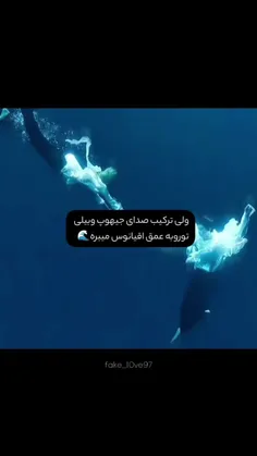 اگر نمردی تو یک ادم نیستی